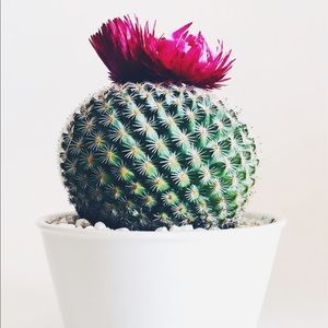 Meet your Posher, Leslie